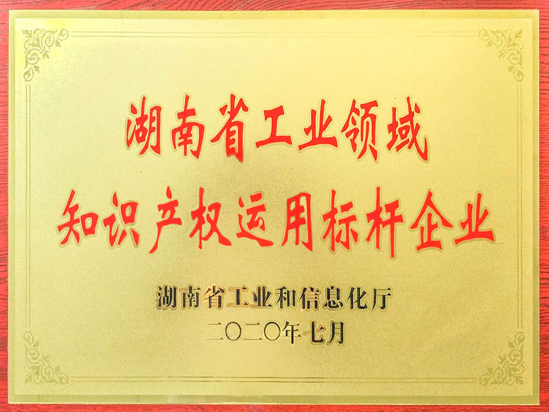 湖南省工業領域知識產權運用標桿企業
